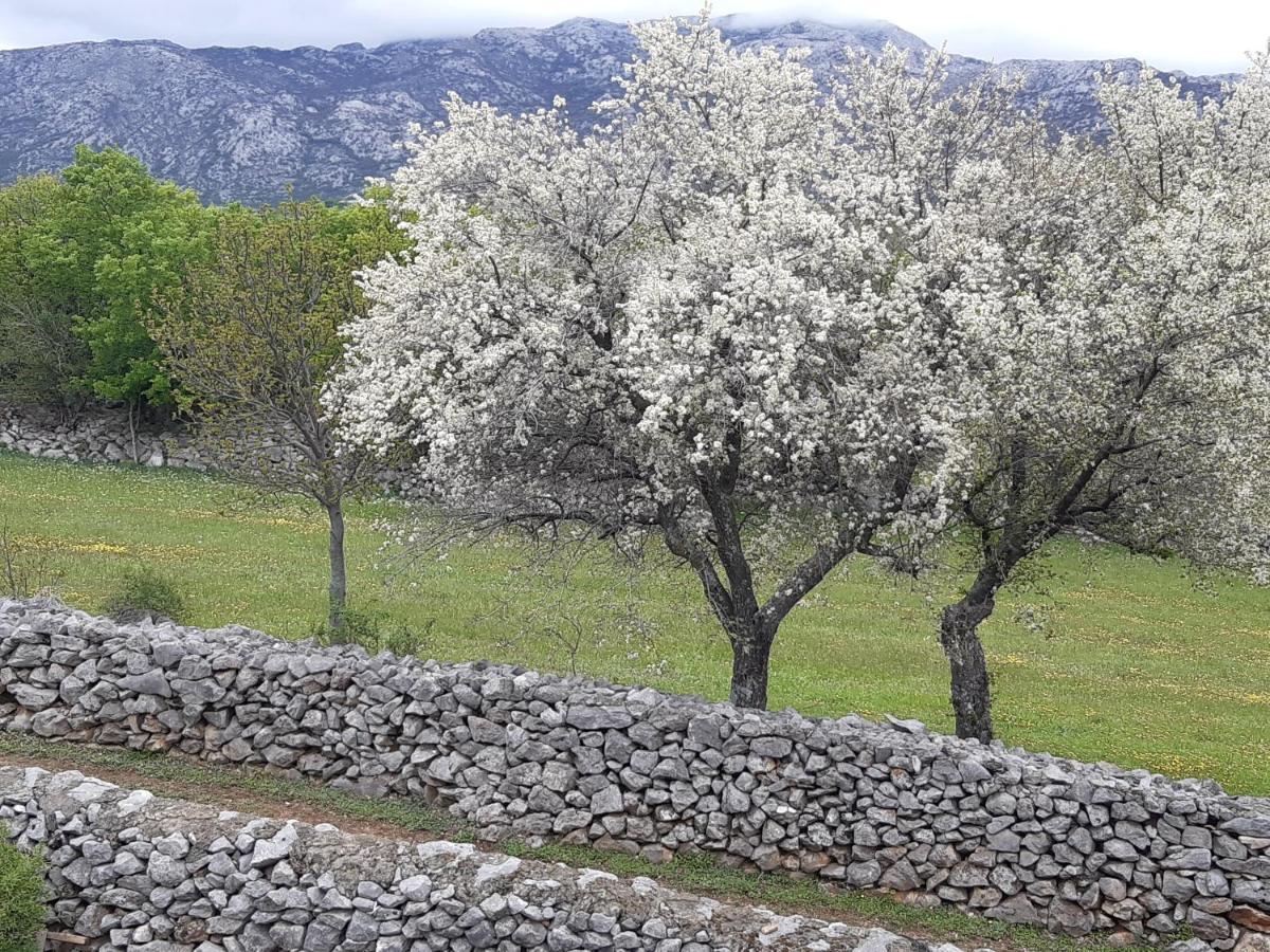 Kuca Za Odmor Dolovi Golubic (Zadar) Exterior foto